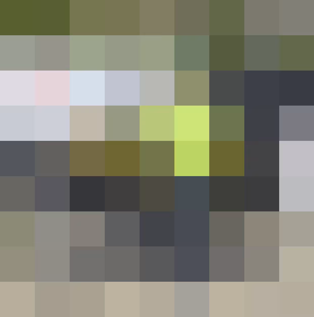 Woman with Hybrid E-Bike on top of hill